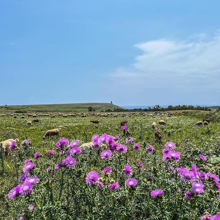 Casetta Degli Ulivi Uggiano La Chiesa Exteriér fotografie