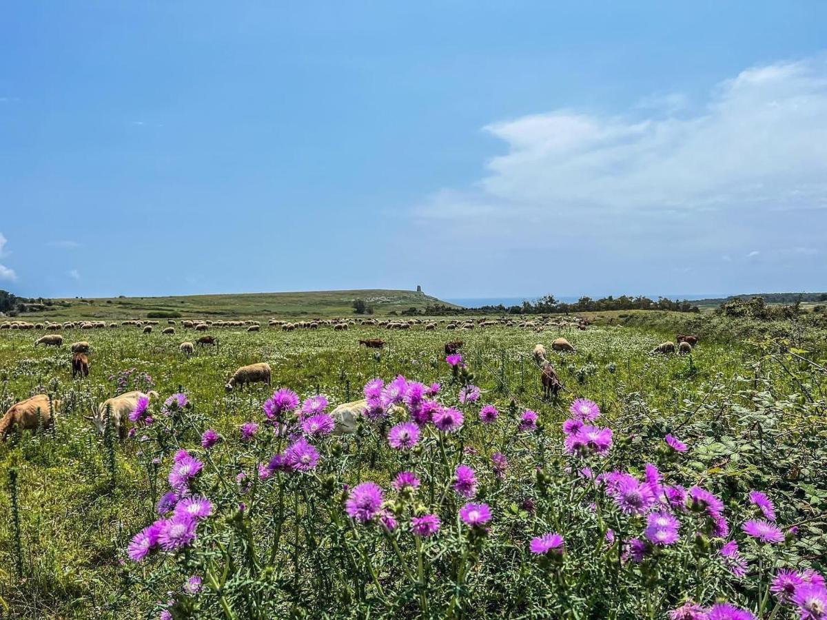 Casetta Degli Ulivi Uggiano La Chiesa Exteriér fotografie